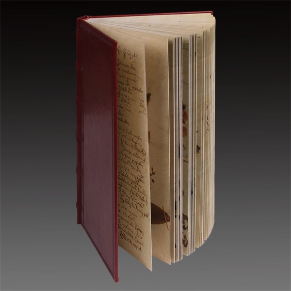 Stacks Image 1142